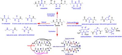 Polyamide Backbone Modified Cell Targeting and Penetrating Peptides in Cancer Detection and Treatment